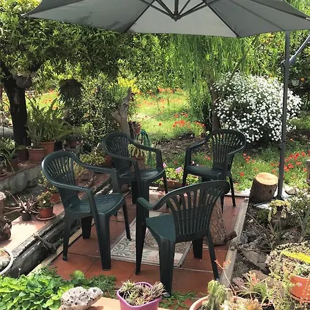 La Terrazza Di Oplonti *
